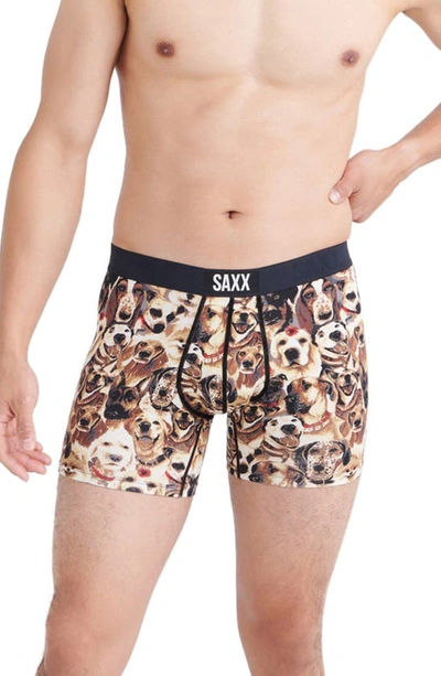 Shop Saxx Vibe Supersoft Slim Fit Performance Boxer Briefs In Dogs Of - Multi