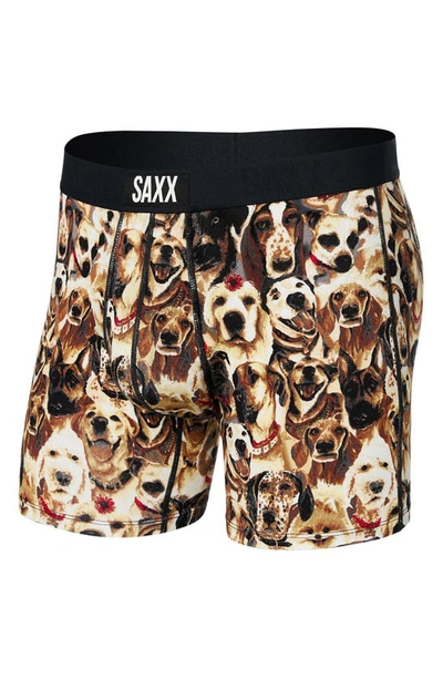 Shop Saxx Vibe Supersoft Slim Fit Performance Boxer Briefs In Dogs Of - Multi