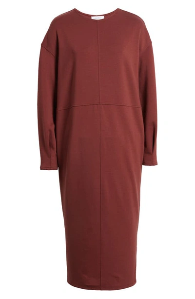 Shop Nordstrom Long Sleeve Shift Sweatshirt Dress In Brown Raisin