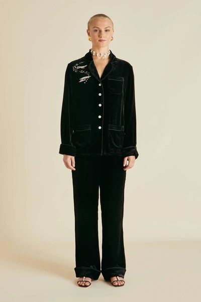 Shop Olivia Von Halle Coco Arcadia Black Embellished Silk Velvet Pyjamas