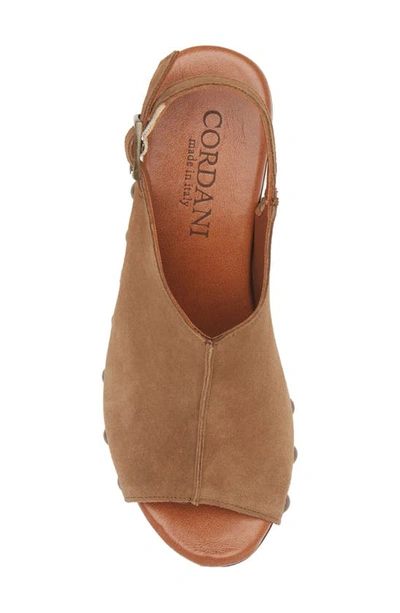 Shop Cordani Winnie Slingback Sandal In Camoscio Sigaro