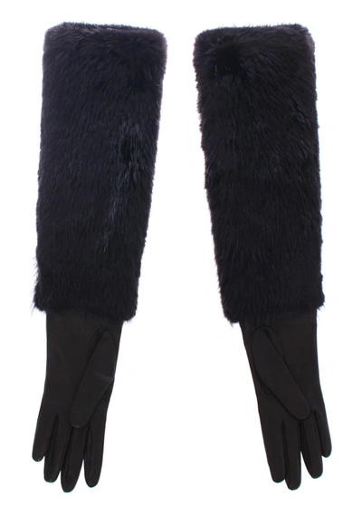 Shop Dolce & Gabbana Elegant Elbow-length Beaver Fur Women's Gloves In Black