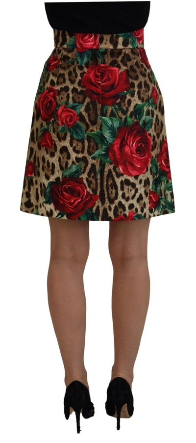 Shop Dolce & Gabbana Elegant Leopard Rose Print Mini Women's Skirt In Brown
