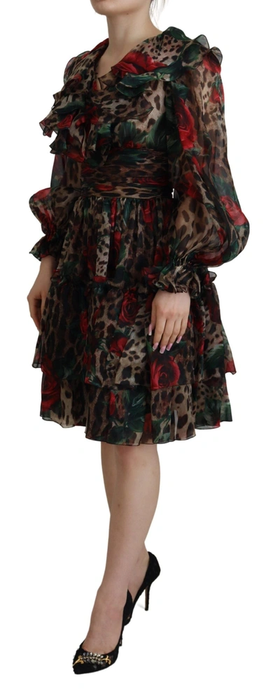 Shop Dolce & Gabbana Silk Leopard Print &amp; Red Roses Women's Dress In Brown