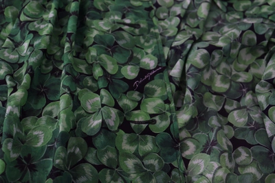 Shop Dolce & Gabbana Silk Green Leaves Print Trench Women's Jacket