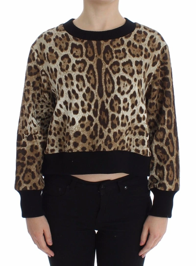 Shop Dolce & Gabbana Elegant Leopard Print Short Sweater Women's Top In Brown