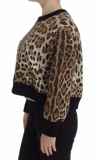 Dolce & Gabbana Leopard Print Crewneck Short Sweater In Brown