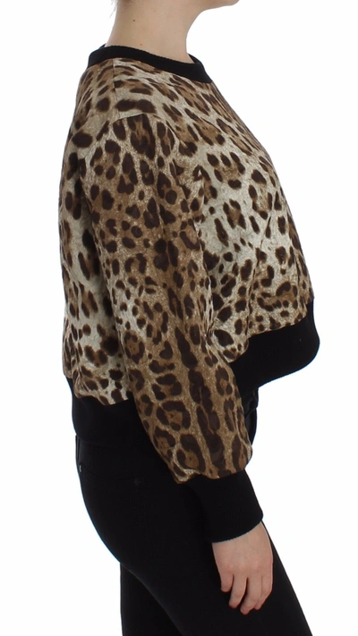 Dolce & Gabbana Leopard Print Crewneck Short Sweater In Brown