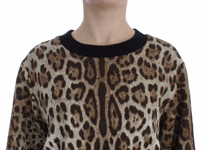 Dolce & Gabbana Leopard Print Crewneck Short Sweater In Brown