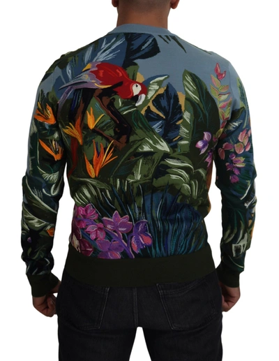 Shop Dolce & Gabbana Jungle Embroidered Wool Silk Men's Sweater In Multicolor