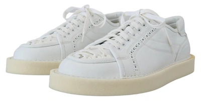 Dolce & Gabbana White Leather Low Top Oxford Sneakers Casual Shoes In White