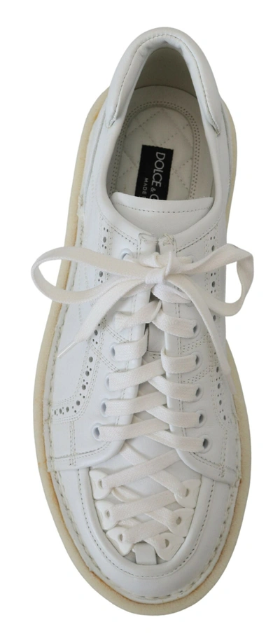 Dolce & Gabbana White Leather Low Top Oxford Sneakers Casual Shoes In White