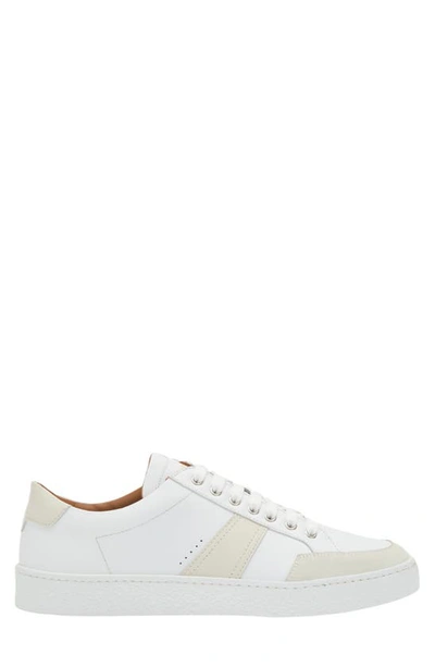 Shop Armando Cabral Talico Sneaker In Bianco/ Cream