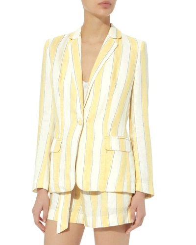 Shop Frame Linen Stripe Blazer In Multi In Yellow