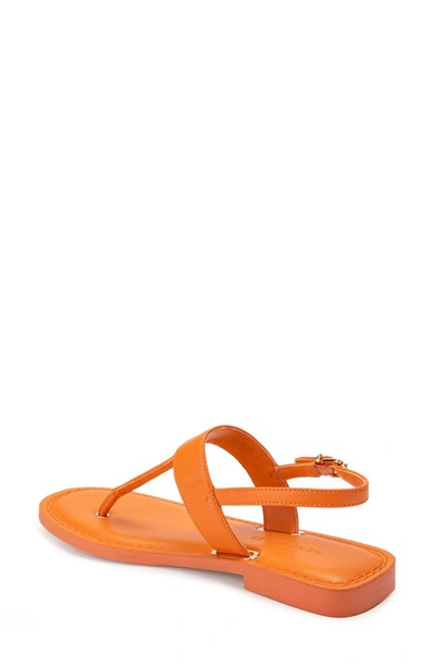 Shop Aerosoles Cherry Slingback Sandal In Mandarin Leather