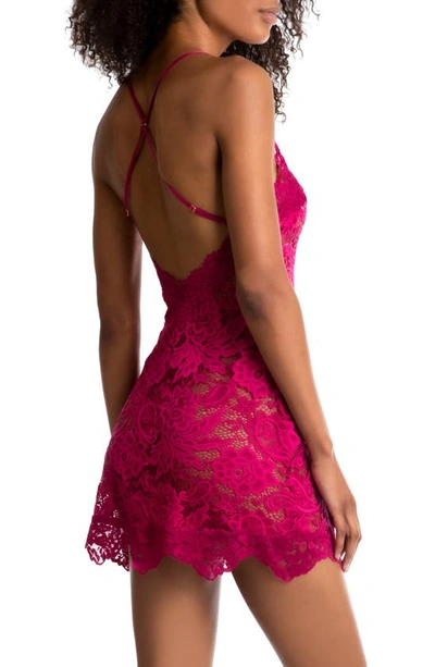 Shop In Bloom By Jonquil Roman Holiday Sheer Lace Chemise In Raspberry