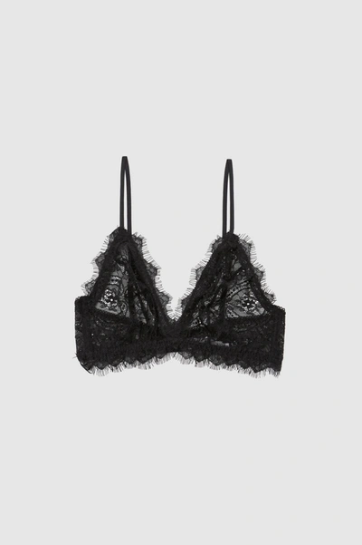 Shop Anine Bing Lace Bra With Trim In Black