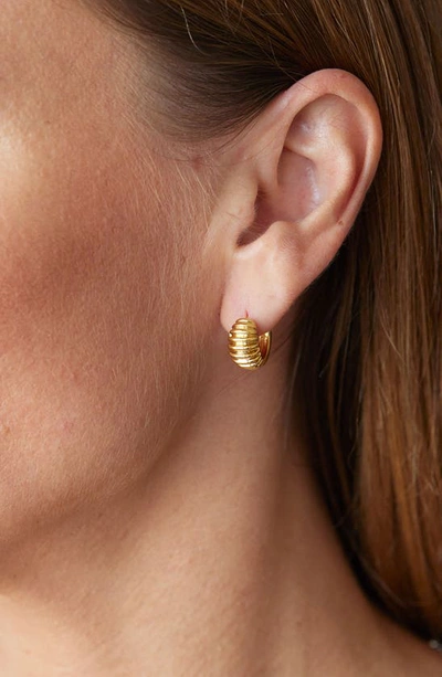 Shop Savvy Cie Jewels Graham Huggie Hoop Earrings In Gold