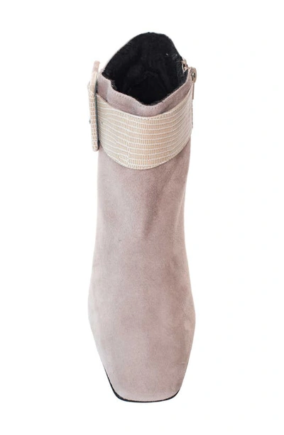 Shop Ron White Lana Weatherproof Buckle Bootie In Lamb