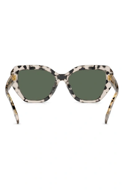 Tory Burch Women's Miller 55mm Oversized Cat-eye Sunglasses In Tortoise