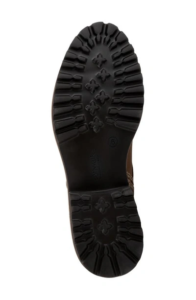 Softwalk Icara Lace-up Boot In Stone