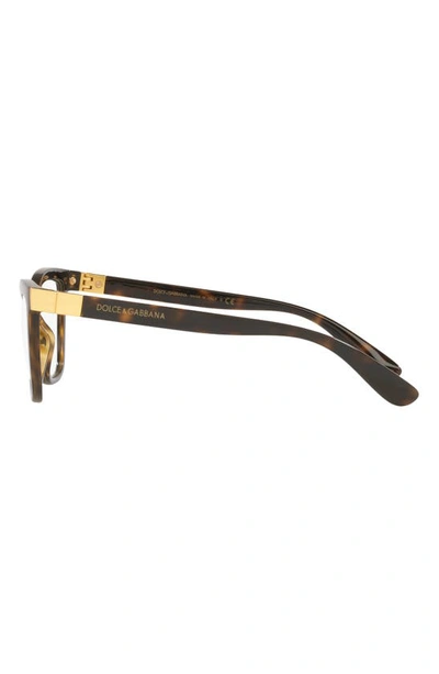 Dolce & Gabbana 53mm Cat Eye Optical Glasses In Havana