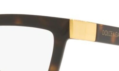 Dolce & Gabbana 53mm Cat Eye Optical Glasses In Havana