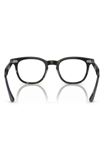 Shop Ray Ban Hawkeye 50mm Square Optical Glasses In Havana