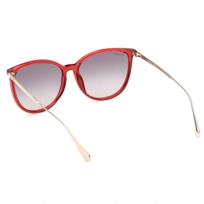 Shop Max & Co Max&co Sunglasses In Fuchsia