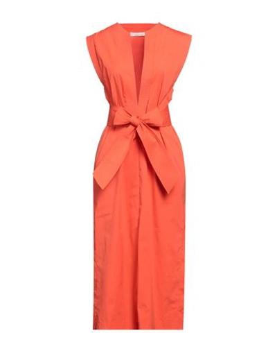 Liviana Conti Woman Midi Dress Orange Size 4 Cotton, Polyamide, Elastane In Orange