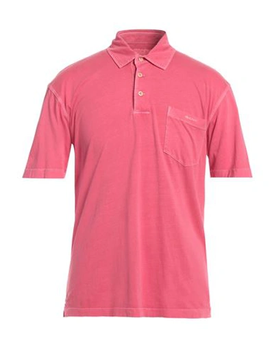 Shop Gant Man Polo Shirt Magenta Size M Cotton