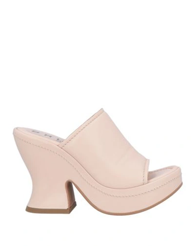 Shop Bruglia Woman Sandals Beige Size 8 Calfskin