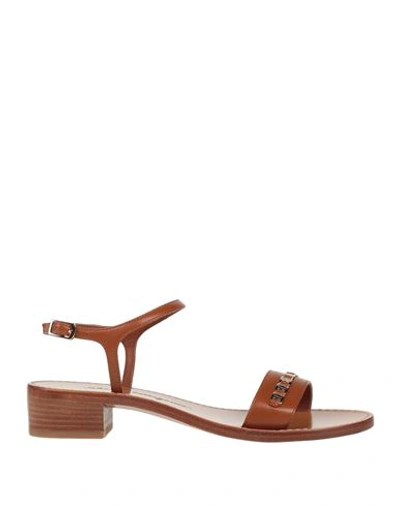 Shop Ferragamo Woman Sandals Tan Size 6.5 Calfskin In Brown
