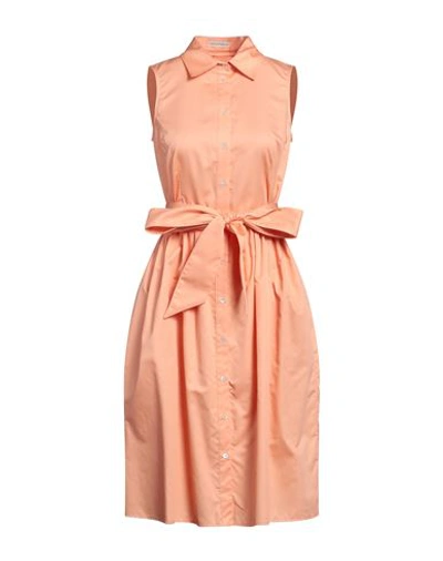 Shop Camicettasnob Woman Midi Dress Apricot Size 10 Cotton In Orange