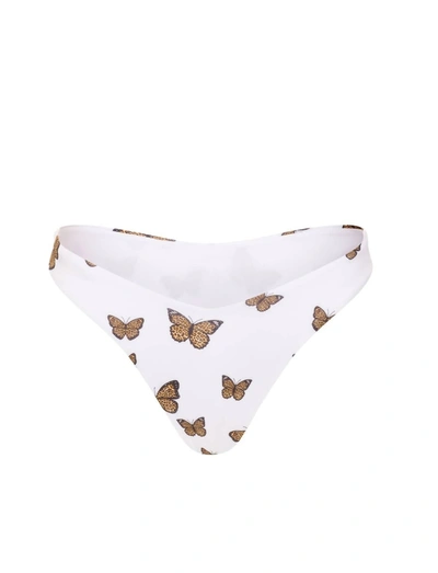 Shop Peixoto Shelley Bikini Cheeky Bottom In Leopard Butterfly In Multi