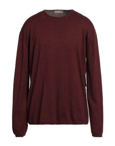 Shop Cruciani Man Sweater Burgundy Size 50 Cotton In Red