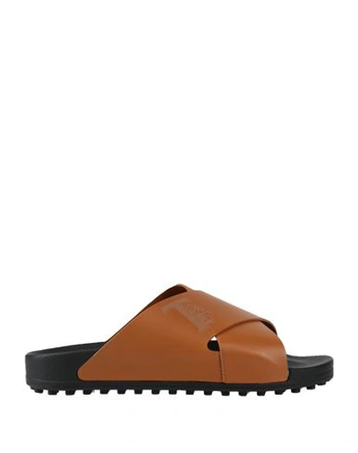 Tod's Man Sandals Camel Size 7 Calfskin In Beige
