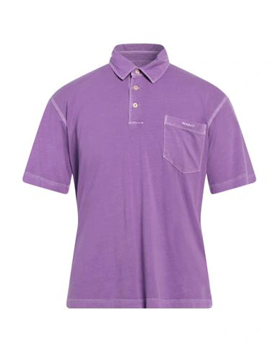 Shop Gant Man Polo Shirt Deep Purple Size M Cotton