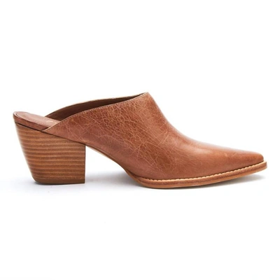 Shop Matisse Cammy Pointed Mule In Brown