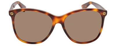 Pre-owned Gucci Gg0024s Unisex Square Designer Sunglasses Brown Tortoise Havana/brown 58mm In Multicolor