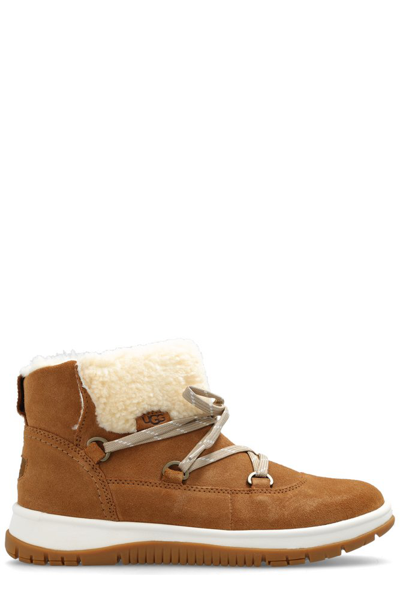 Shop Ugg Lakesider Heritage Round Toe Boots In Brown