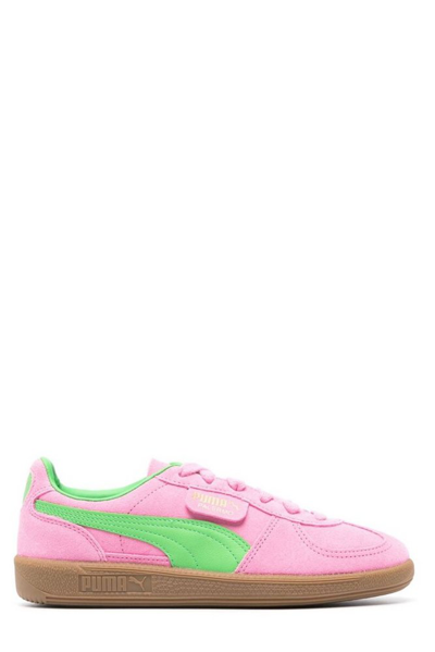 Shop Puma Palermo Special Lace In Pink