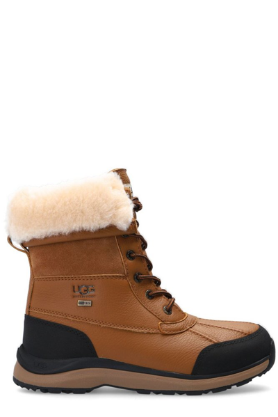 Shop Ugg Ashton Addie Round Toe Boots In Brown