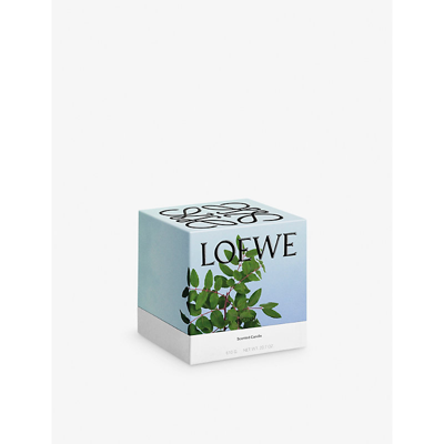 Shop Loewe Incense Scented Candle 610g