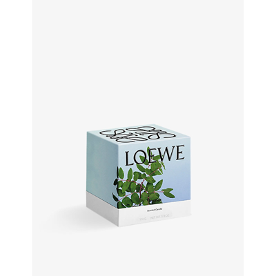 Shop Loewe Incense Scented Candle 170g