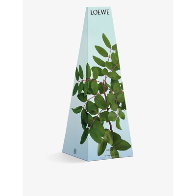 Shop Loewe Incense Scented Candle 330g