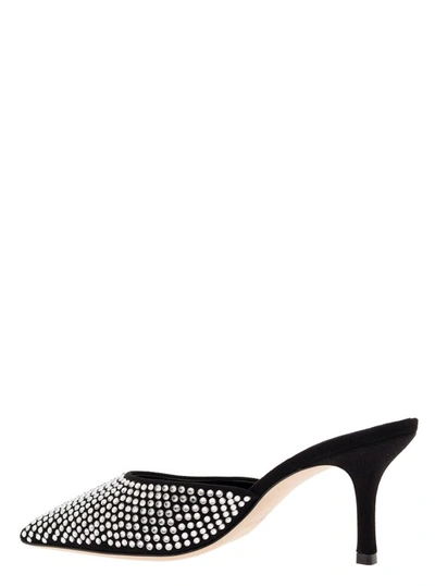 Shop Paris Texas Hollywood' Black Pointed Mules With Rhinestone Embellishment In Leather In Grey