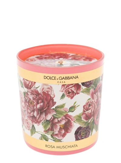Shop Dolce & Gabbana Musk Rose Scented Candle In Not Applicable