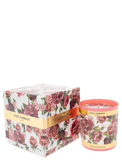 Shop Dolce & Gabbana Musk Rose Scented Candle In Not Applicable