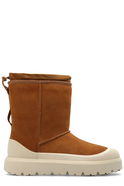 Shop Ugg Classic Short Weather Hybrid Round Toe Boots In Brown